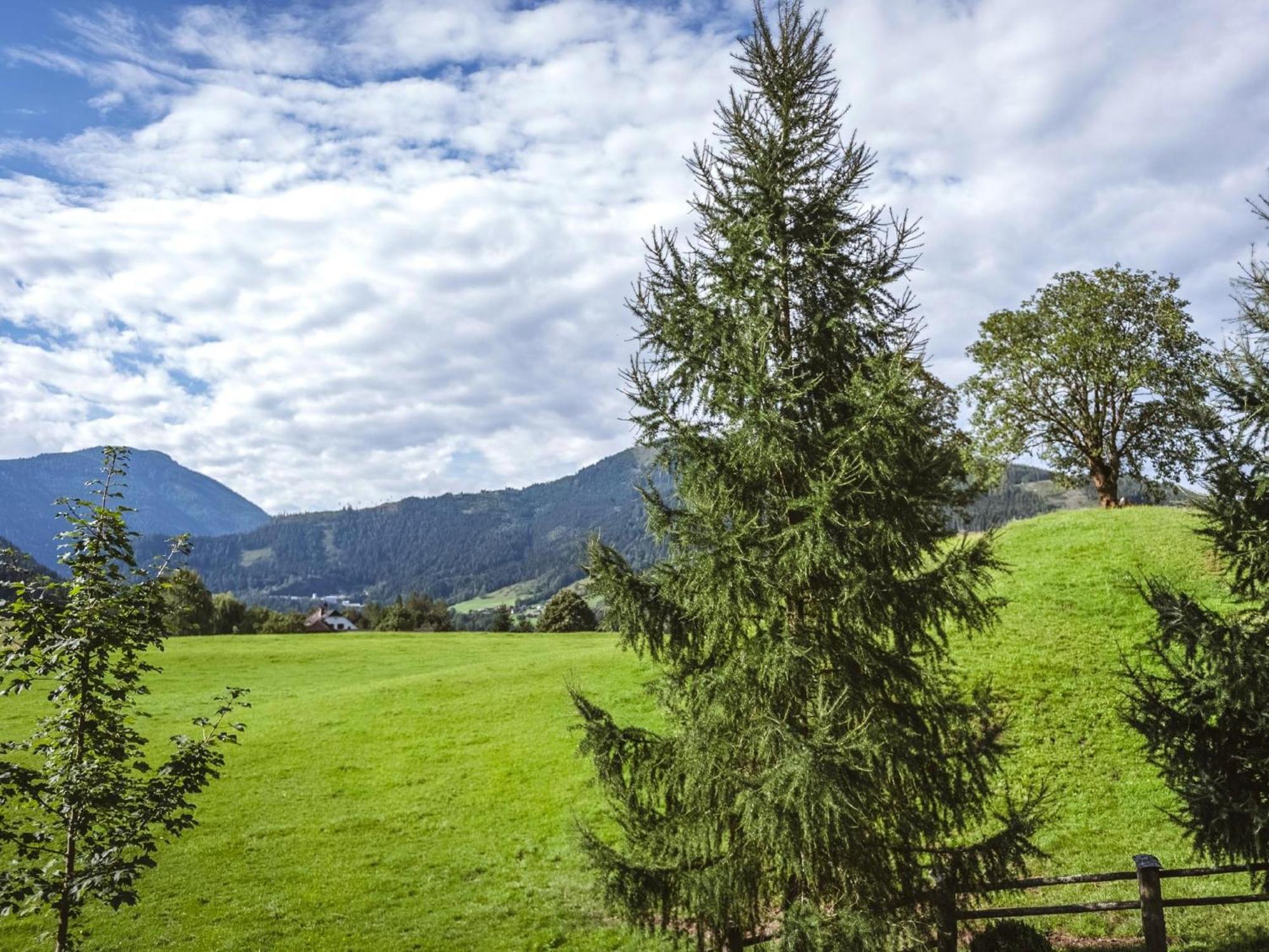 Naturpark Chalet Schladming-Dachstein Grosssolk Exterior photo